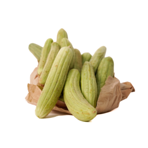 פקוס